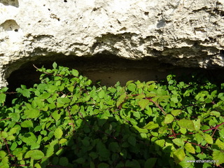 Grotte san Giorgio